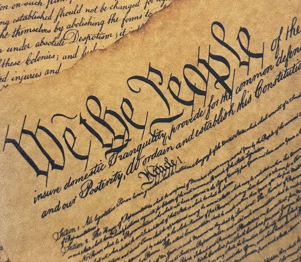 We the People Infused Kydex Print